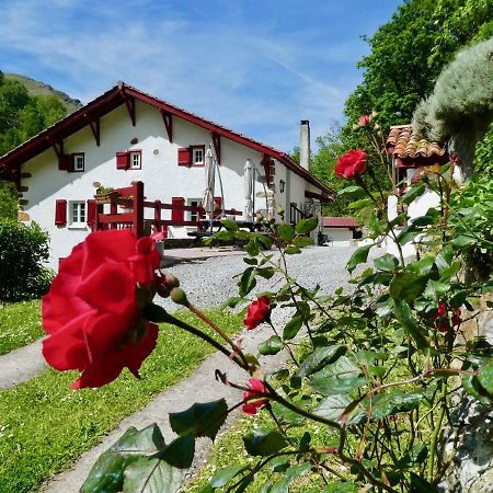 Chambres D'Hotes Agorerreka Saint-Etienne-de-Baigorry Esterno foto