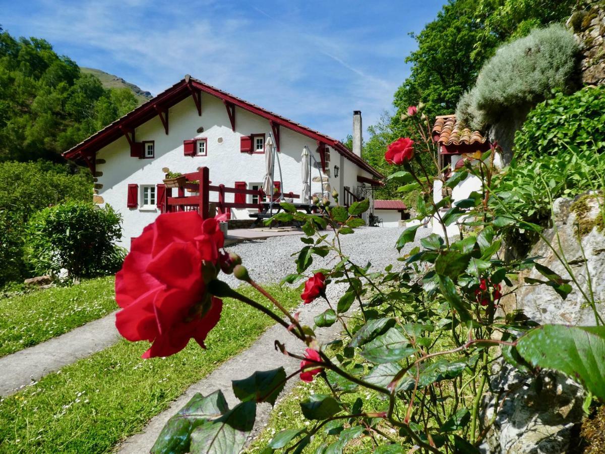 Chambres D'Hotes Agorerreka Saint-Etienne-de-Baigorry Esterno foto